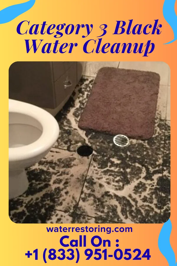 Category 3 Black Water Cleanup in Paterson, NJ