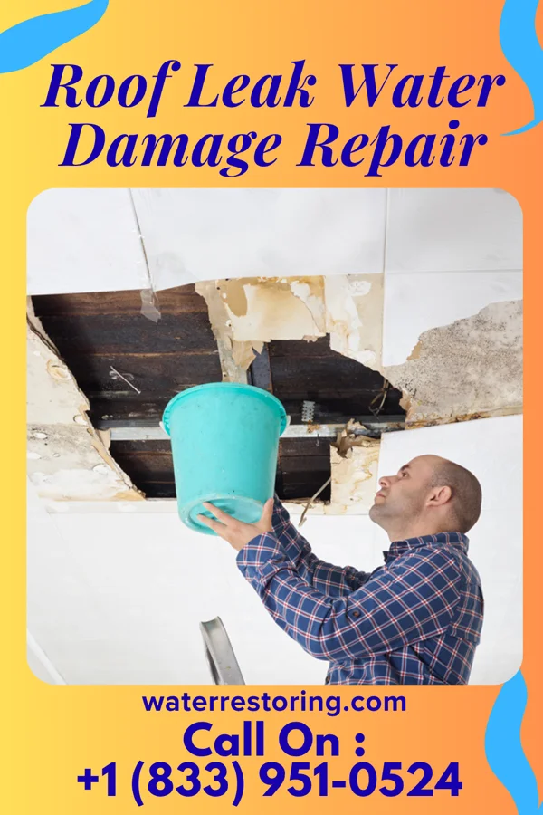 Roof Leak Water Damage Repair in Paterson, NJ